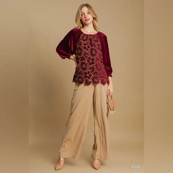 #305 FIRM 🌸New! Gorgeous Velvet Embroidered Top - Picture 3 of 4